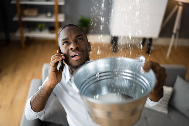 Best Water damage cleanup near me  in Milford, NJ