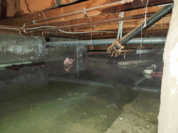 Best Flood damage cleanup  in Milford, NJ