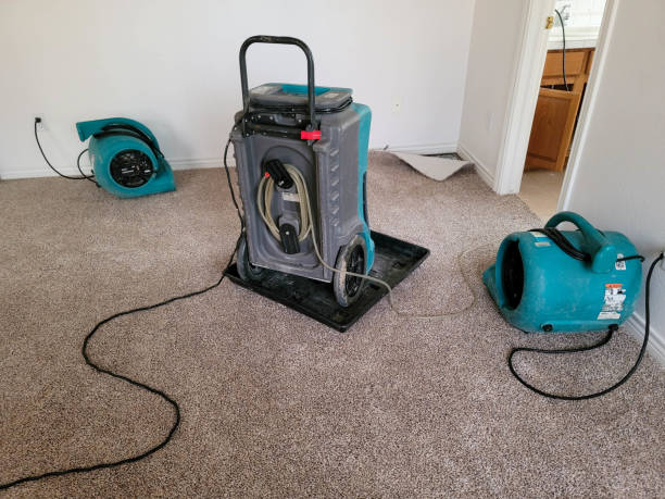 Best Mold removal after water damage  in Milford, NJ