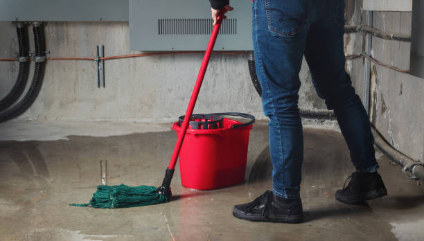Best Flood damage cleanup  in Milford, NJ