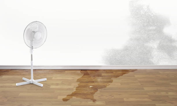 Best Water damage restoration experts  in Milford, NJ
