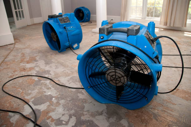 Best Sewage cleanup and water damage restoration  in Milford, NJ