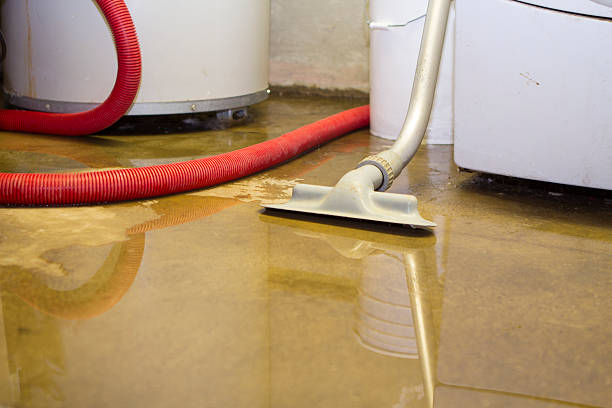 Best Flood restoration services  in Milford, NJ