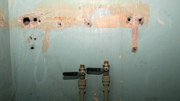 Best Professional water damage repair  in Milford, NJ