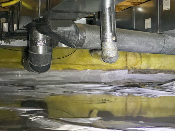 Best 24-hour water damage restoration  in Milford, NJ