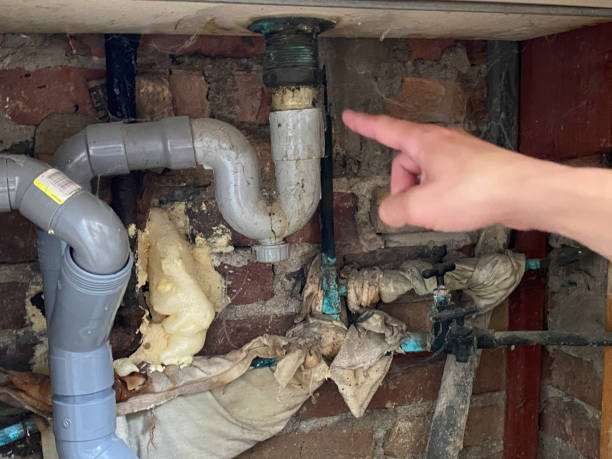 Best Carpet water damage restoration  in Milford, NJ